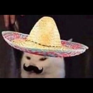 Meet your Posher, Ruben